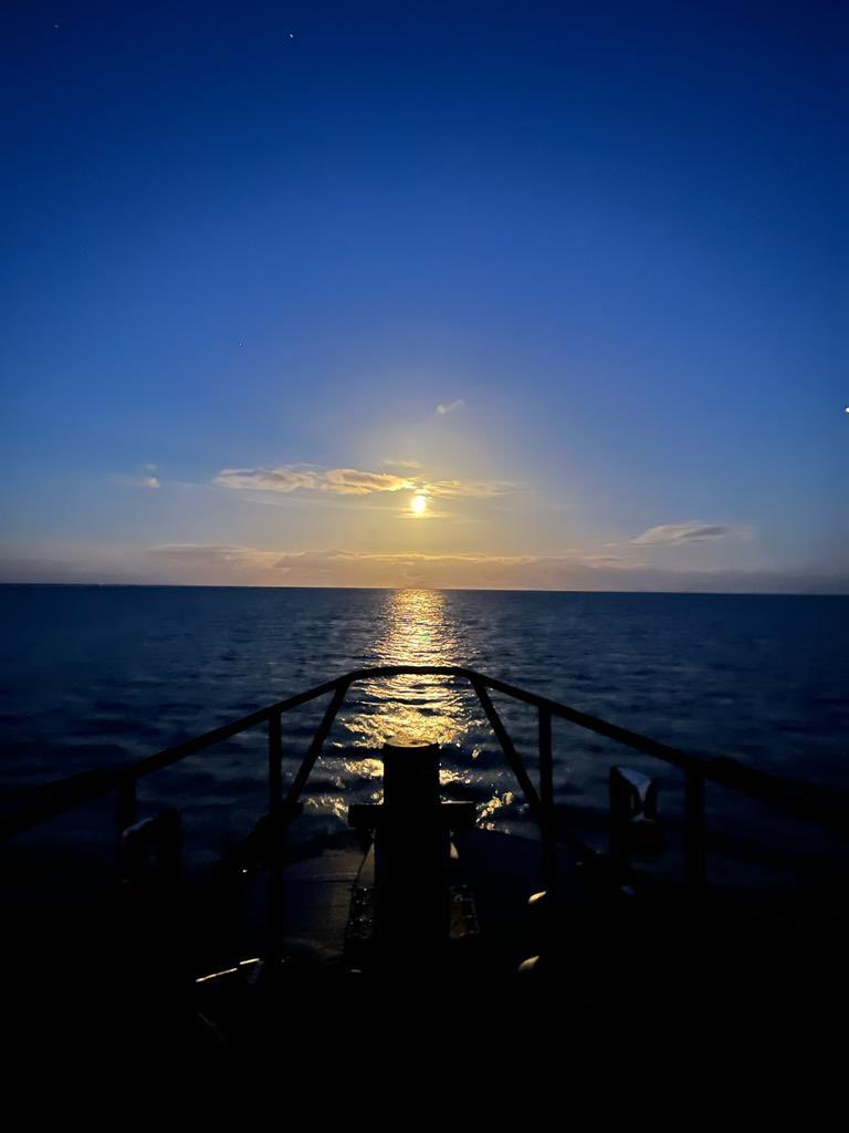 Aberdeen Lifeboat RNLI tweet media