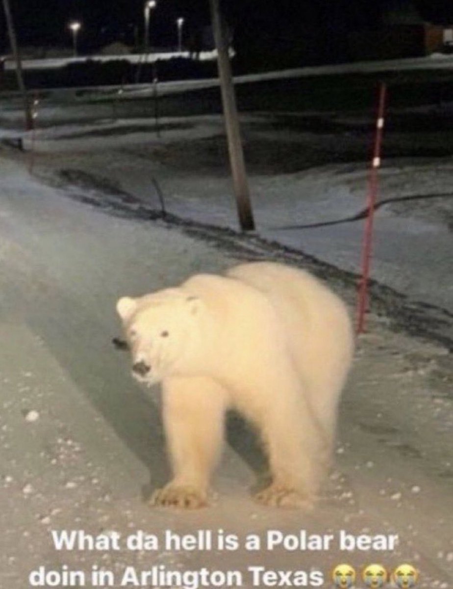 Alex ✭ tweet media