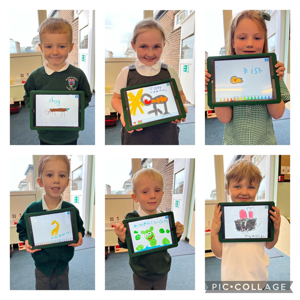 CBlandDSM's tweet photo. Year 1 have been learning about ‘Animals, including humans’ in Science. Here are a selection of their fantastic animal pictures - they even wrote what group their animal belongs to 🦁🐢 https://t.co/rYBi9BuplS
