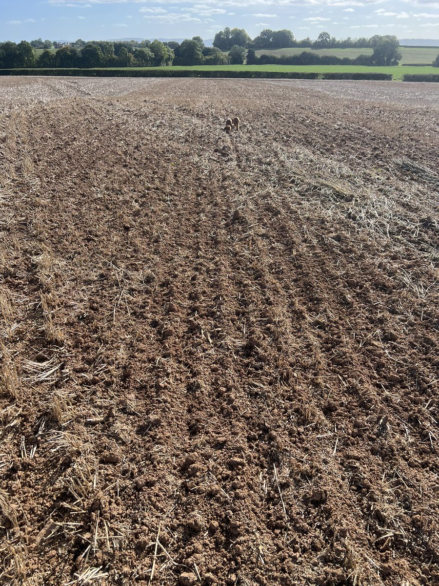 Richard Payne tweet media