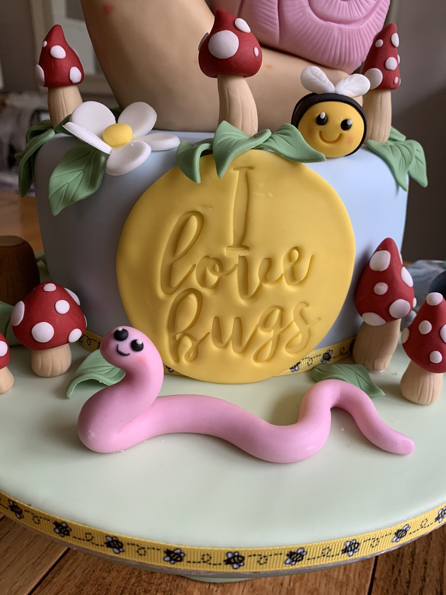 maid_of_cake's tweet photo. I have a bit of an phobia when it comes to snails and worms - but they are pretty damn cute when made kawaii style with not a snail trail in sight π π || cake concept I came up with for my niece who loves... bugs! #bugcake #lovebugs https://t.co/ZdtwzB7IFd