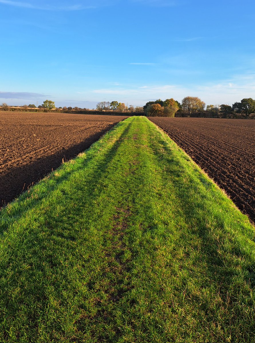 Last chance to walk to work until the spring time. Chocolate lime anyone?