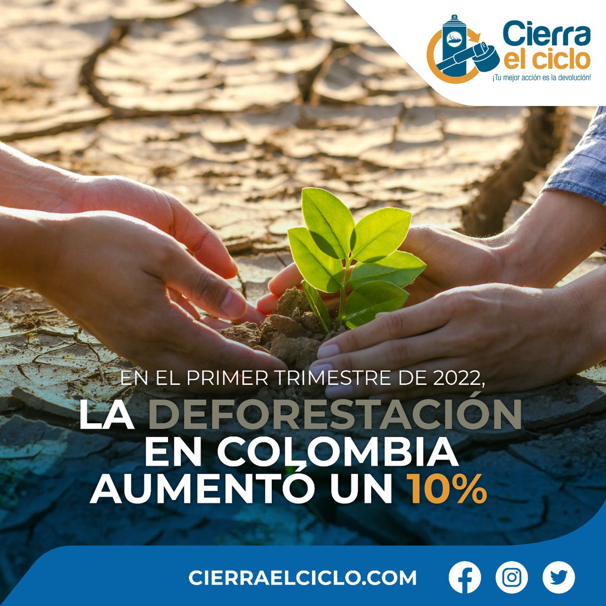 Las principales causas de la deforestación en Colombia son la praderización por usurpación y acaparamiento de tierras, así como la ganadería extensiva. Además, la ampliación no planificada de infraestructura de transporte, la extracción ilícita de minerales, la tala ilegal.