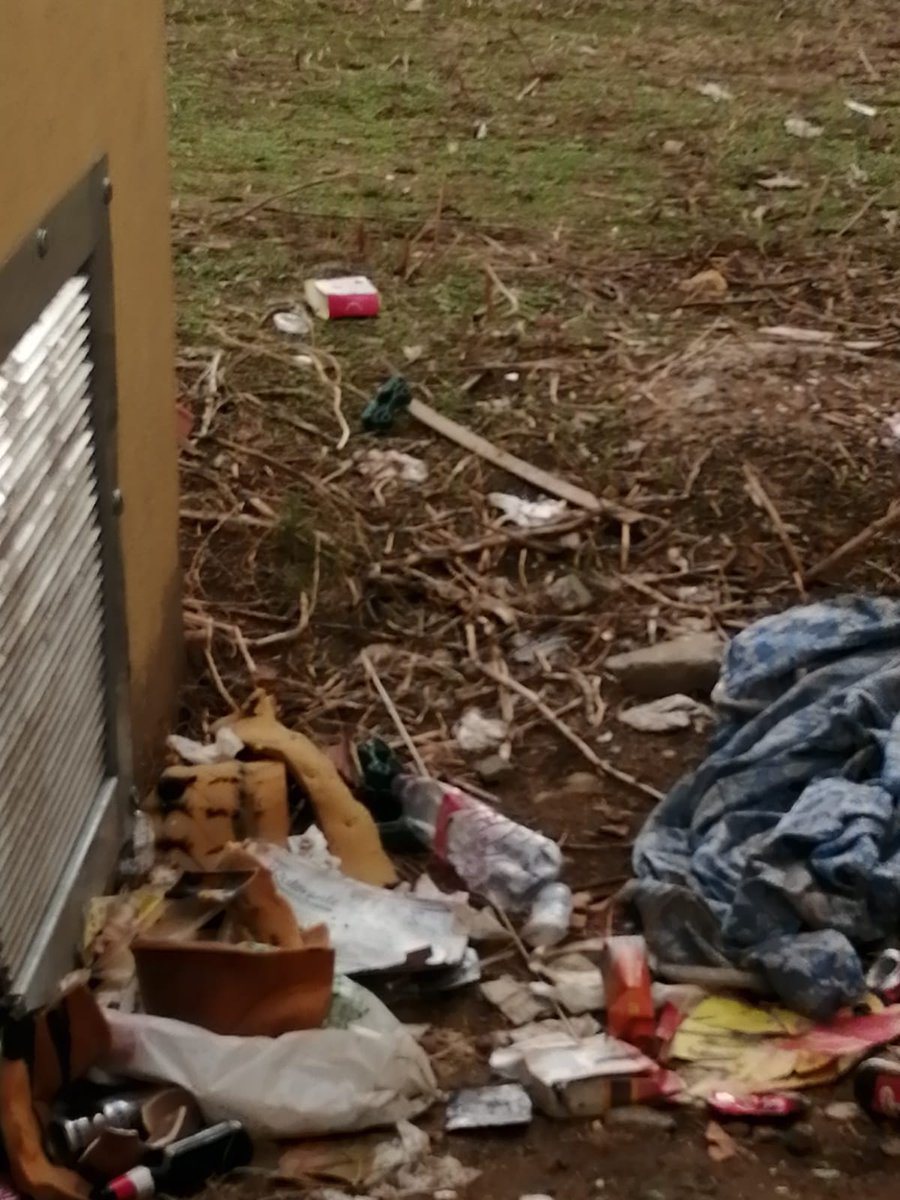mgarmu1905's tweet photo. @LipasamSevilla y @Ayto_Sevilla no tenéis vergüenza, años pidiendo la limpieza del barrio y hoy que viene @CSurNoticias hacéis zafarrancho. Vergüenza os debería dar https://t.co/SmdKK2aoOe