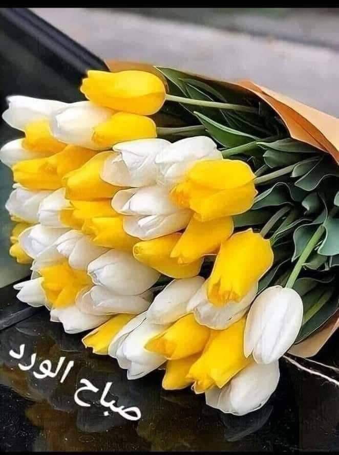 <a href="/XBezhan2/">Xalid bezhan2</a> الصبر ليس فقط القدرة على الانتظار
بل هو القدرة على الإحتفاظ بقلوبنا
راضية فى أوقات الانتظار

صباحكم صحة وعافية إن شاء الله
