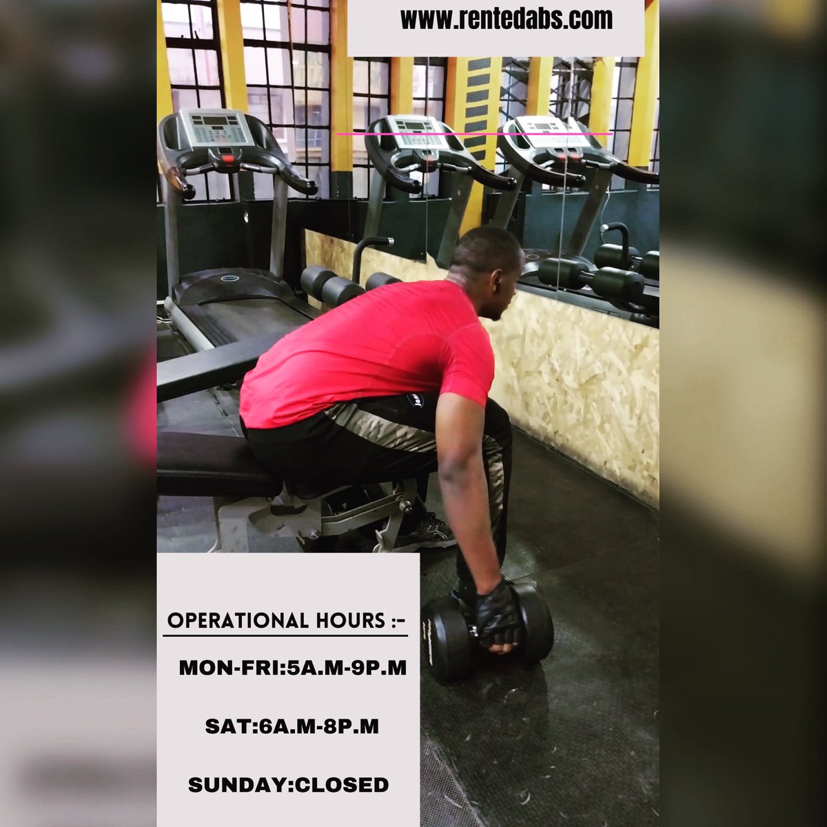 rentedabs tweet media