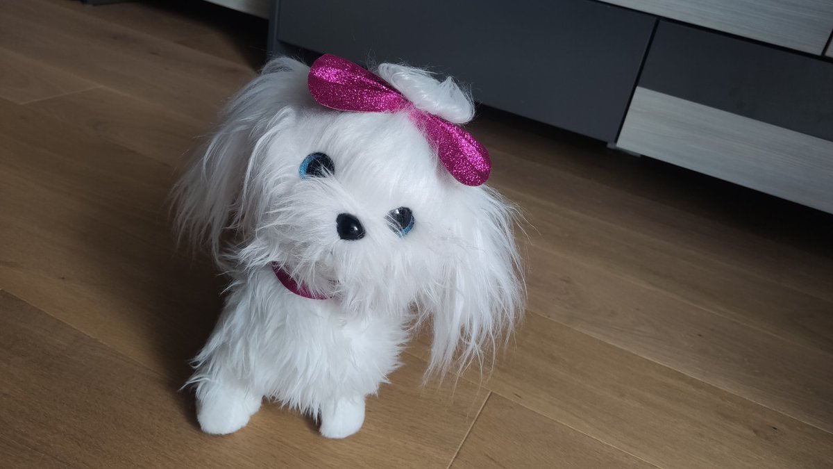 Andreas73615533's tweet photo. My DOG  🤔😉😉@tamadogecoin #Tamadoge #ShareYourDoge https://t.co/uf4w7nu7Ej