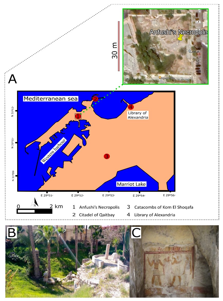 Minerals_MDPI's tweet photo. 📢#Highly_Accessed_Article: #Coastal_Environment Impact on the #Construction_Materials of #Anfushis_Necropolis (Pharos’s Island) in Alexandria, Egypt
#mdpi #OpenAccess #minerals @MDPIEnvironment @MDPIEngineering
👉https://t.co/lVIcI0P8Is https://t.co/j9x42DvSrK