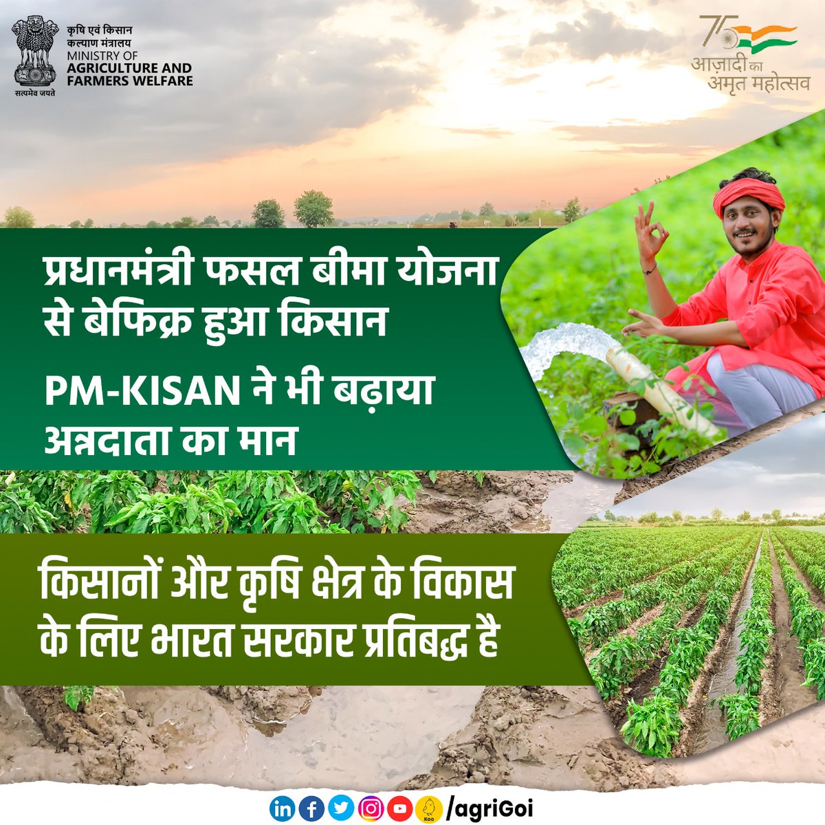 Agriculture INDIA tweet media