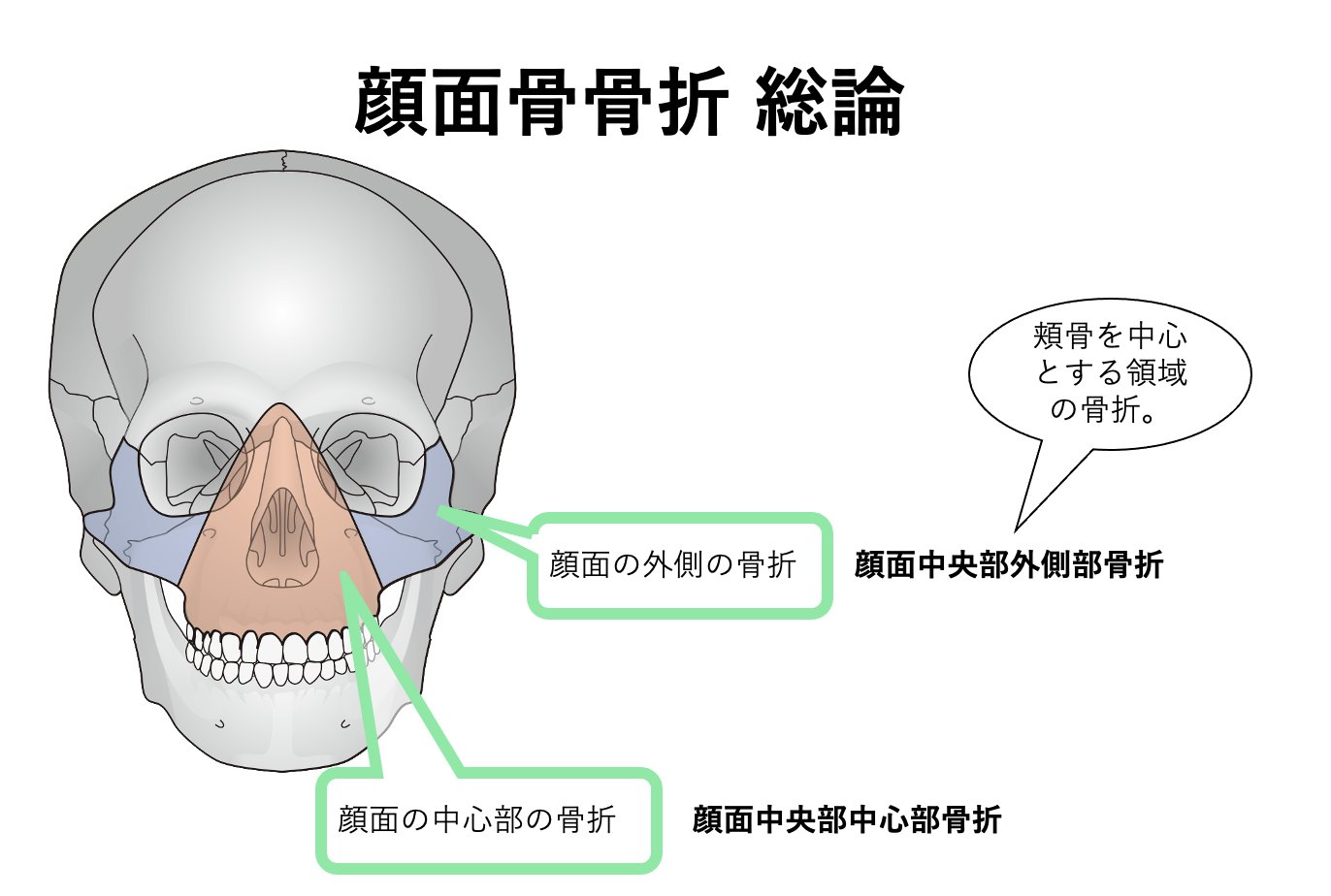 顔面骨への手術アプローチ | 書籍詳細 | 書籍 | 医学書院