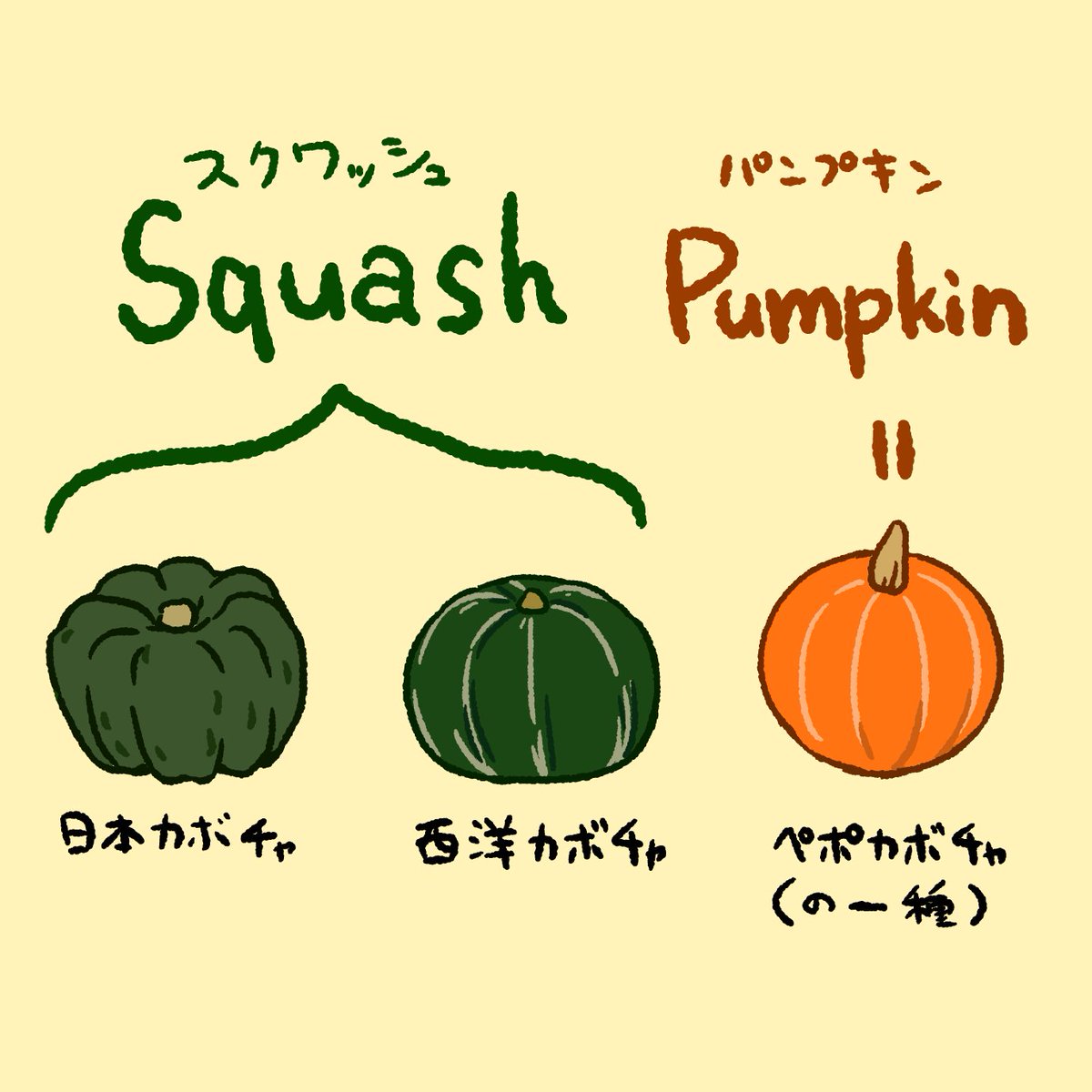 パンプキンパイを作ろうと調べてたらエッてなった衝撃の事実 かぼちゃって全部パンプキンじゃないの Togetter