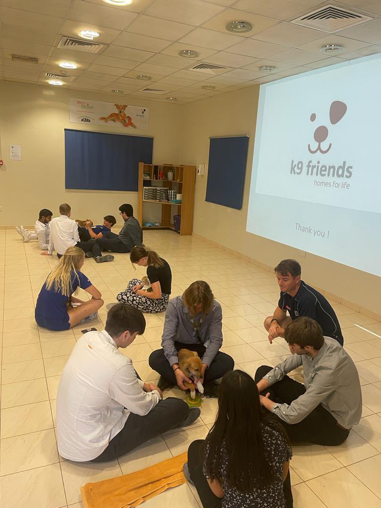 JESS Business & Economics (@jessbusecodept) on Twitter photo The BTEC Business students learning how K9 Friends dog shelter functions as a charity. The students discovered the challenges faced by the organization in order to survive. The trip ended with meeting some of the furry residents. <a href="/JESSDubai/">JESS Dubai 🇦🇪</a> <a href="/JESS_Secondary/">JESS Secondary</a> #JESSRealWorld The BTEC Business students learning how K9 Friends dog shelter functions as a charity. The students discovered the challenges faced by the organization in order to survive. The trip ended with meeting some of the furry residents. <a href="/JESSDubai/">JESS Dubai 🇦🇪</a> <a href="/JESS_Secondary/">JESS Secondary</a> #JESSRealWorld