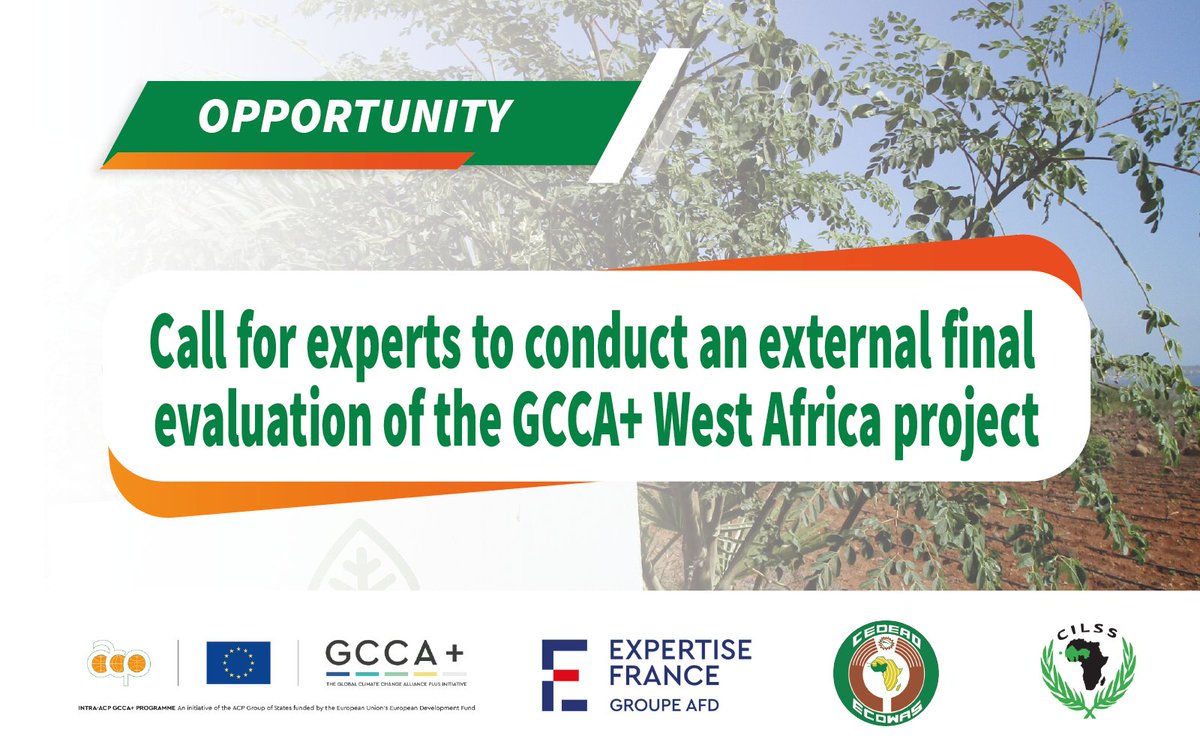 Christelkenou's tweet photo. 🔔 #Vacancy: The #GCCAPlus West Africa project is seeking experts to conduct the Final External Evaluation of the project. The deadline for the submission is 14th November. 

🔎Check out the link to learn more: https://t.co/H5AoCaStZp https://t.co/CRpKGOPxla