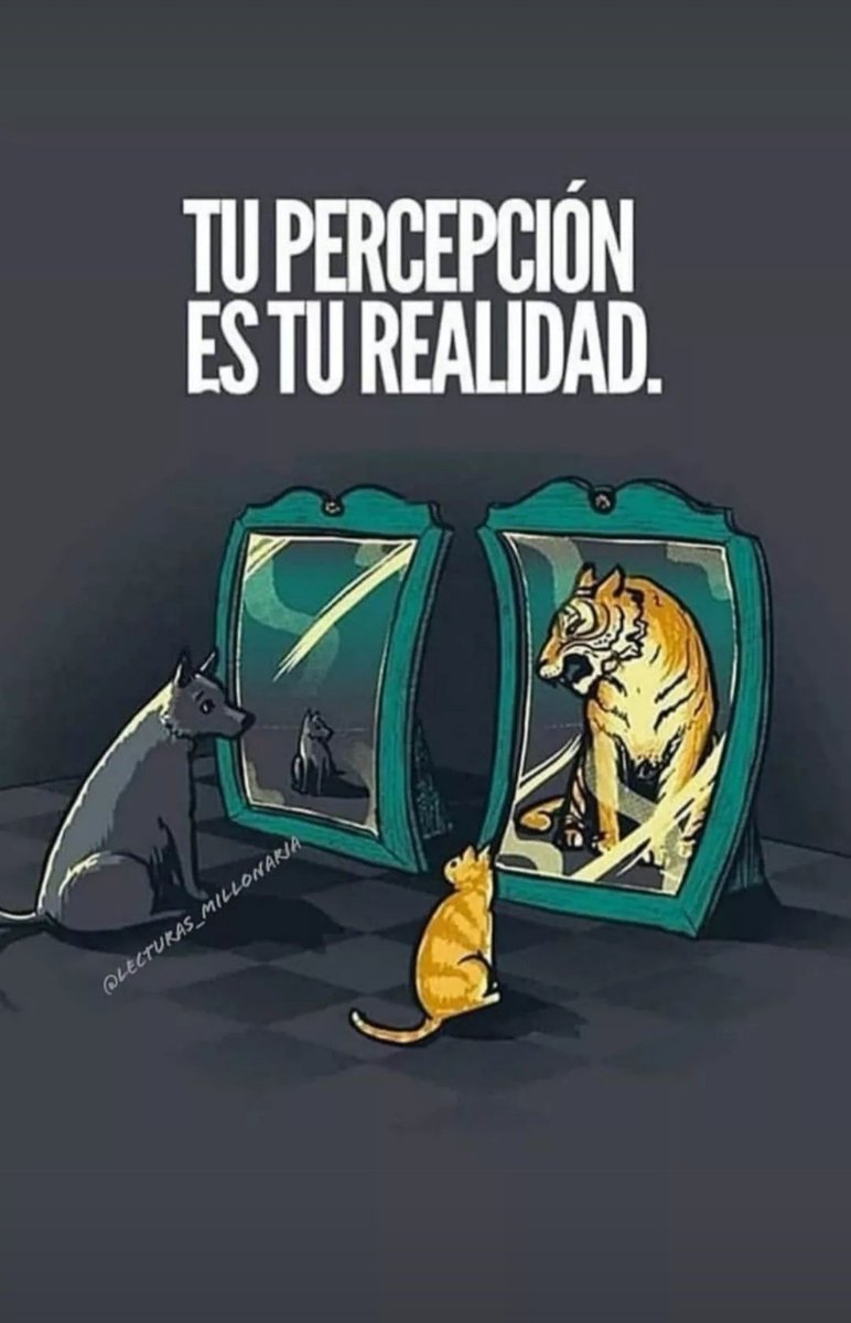 Sixto Javier El Cuba (@sixtoeselcuba) on Twitter photo 