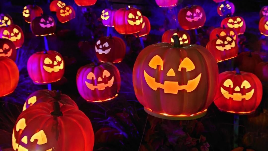 ネスタリゾート神戸 Nesta Resort Kobe 公式 Nestaresortkobe Twitter