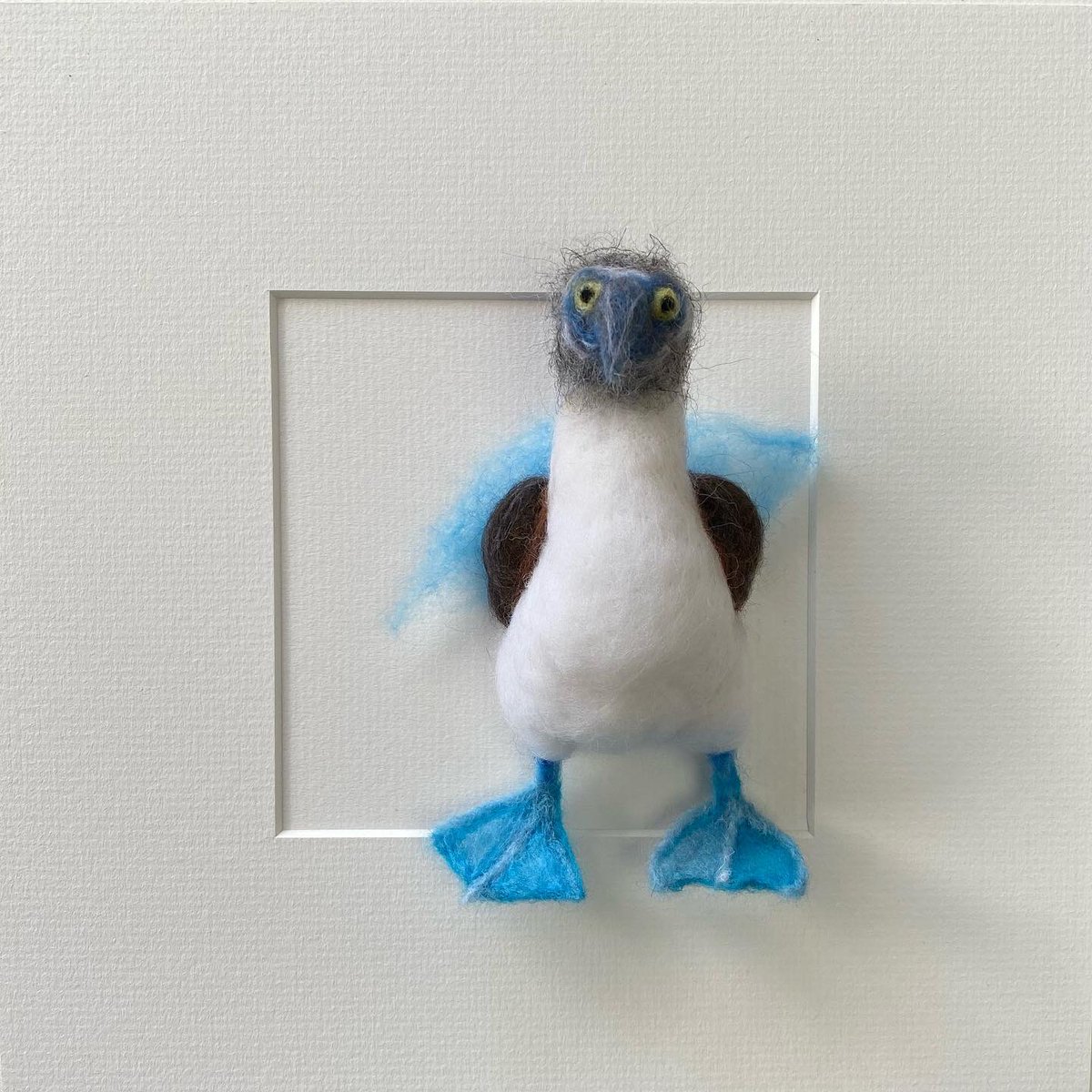 AbiFelting's tweet photo. Not yet stuck down, but Nigel will be coming with me to the Christmas fair at RHS Wisley                                                        @craftinfocus @rhswisley @the_rhs #rhswisley #nigel  #boobybird #bluefootedbooby #birds #newwork #seabird #gannet #needlefelting https://t.co/r0IvuUR4fG