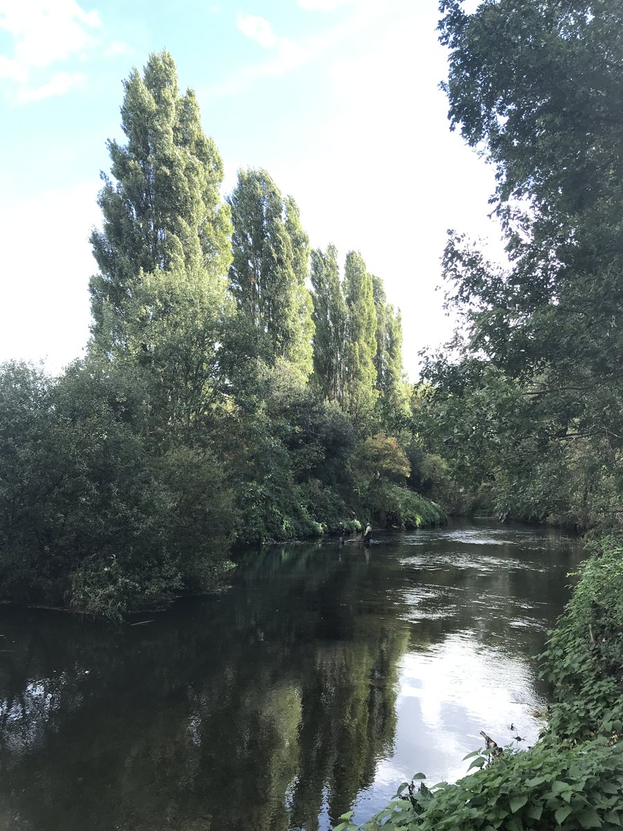 russell miller tweet media