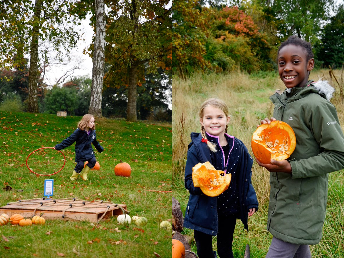 Kingsley_School's tweet photo. A few photos following on from yesterday's video... 🎃🍂🍐#KingsleyPrep #PumpkinFun https://t.co/Fjy7YooXaB