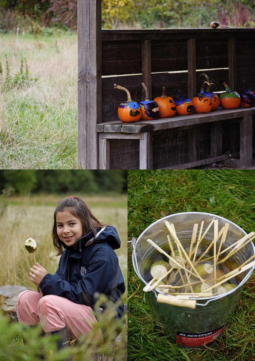 Kingsley_School's tweet photo. A few photos following on from yesterday's video... 🎃🍂🍐#KingsleyPrep #PumpkinFun https://t.co/Fjy7YooXaB