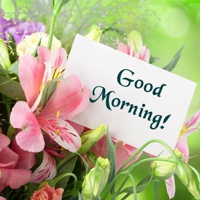 𝕊ℍ𝔼ℝ𝔼𝔼 ♥️ ³ᘓɕ᪂ɹ̤ɹɹ̈̇ɹ Iɹ̇Ĩ tweet media