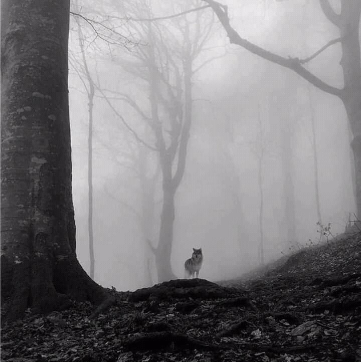 Old Energy (@NicoLento1) / Posts / X