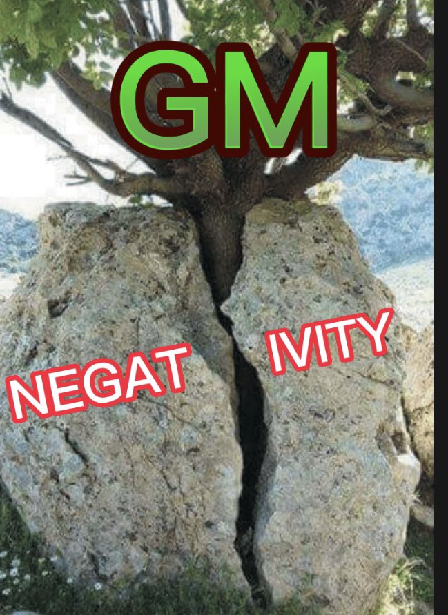 GM ☀️ Have an amazing Wednesday!