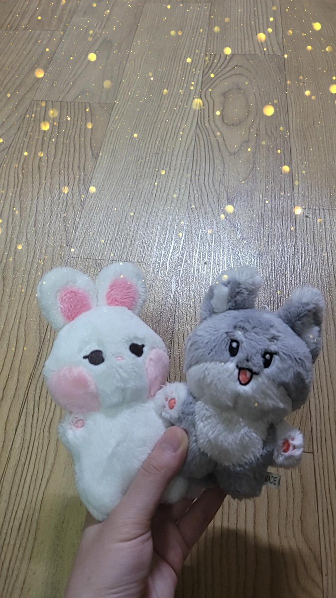 윤복치 tweet media