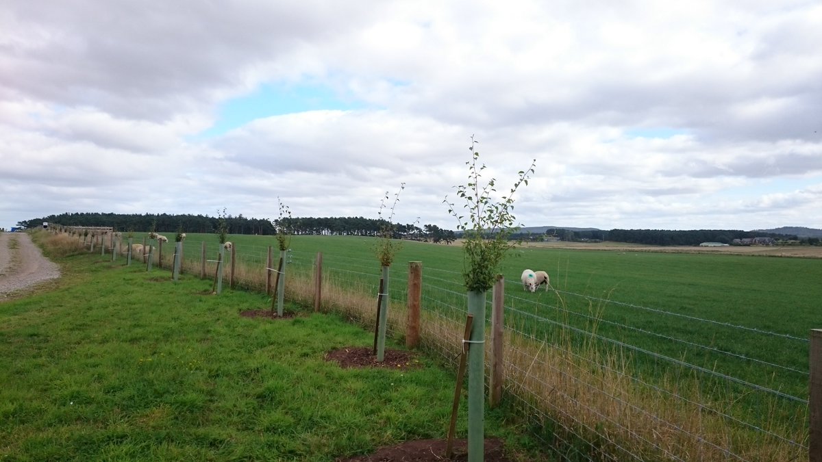 Always happy to receive photos from happy customers.