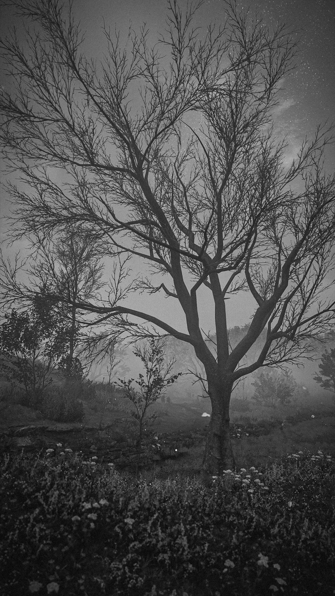 Flibbley NovA tweet media