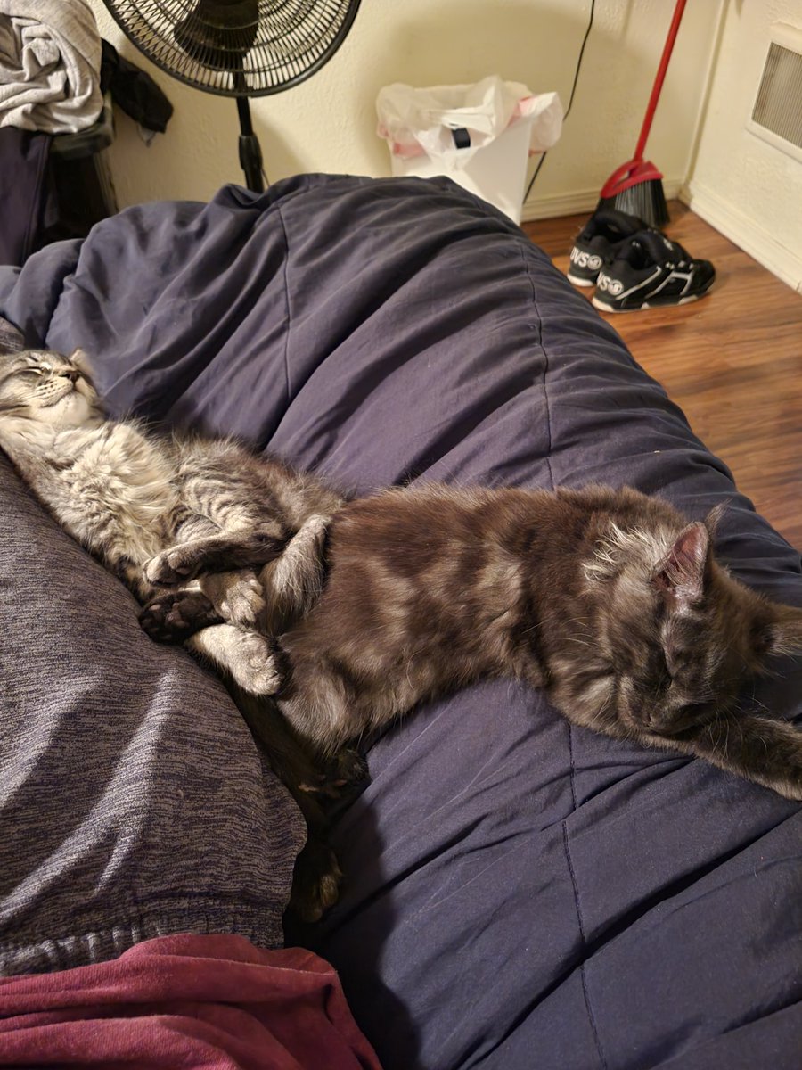 MicroPhoenix tweet media