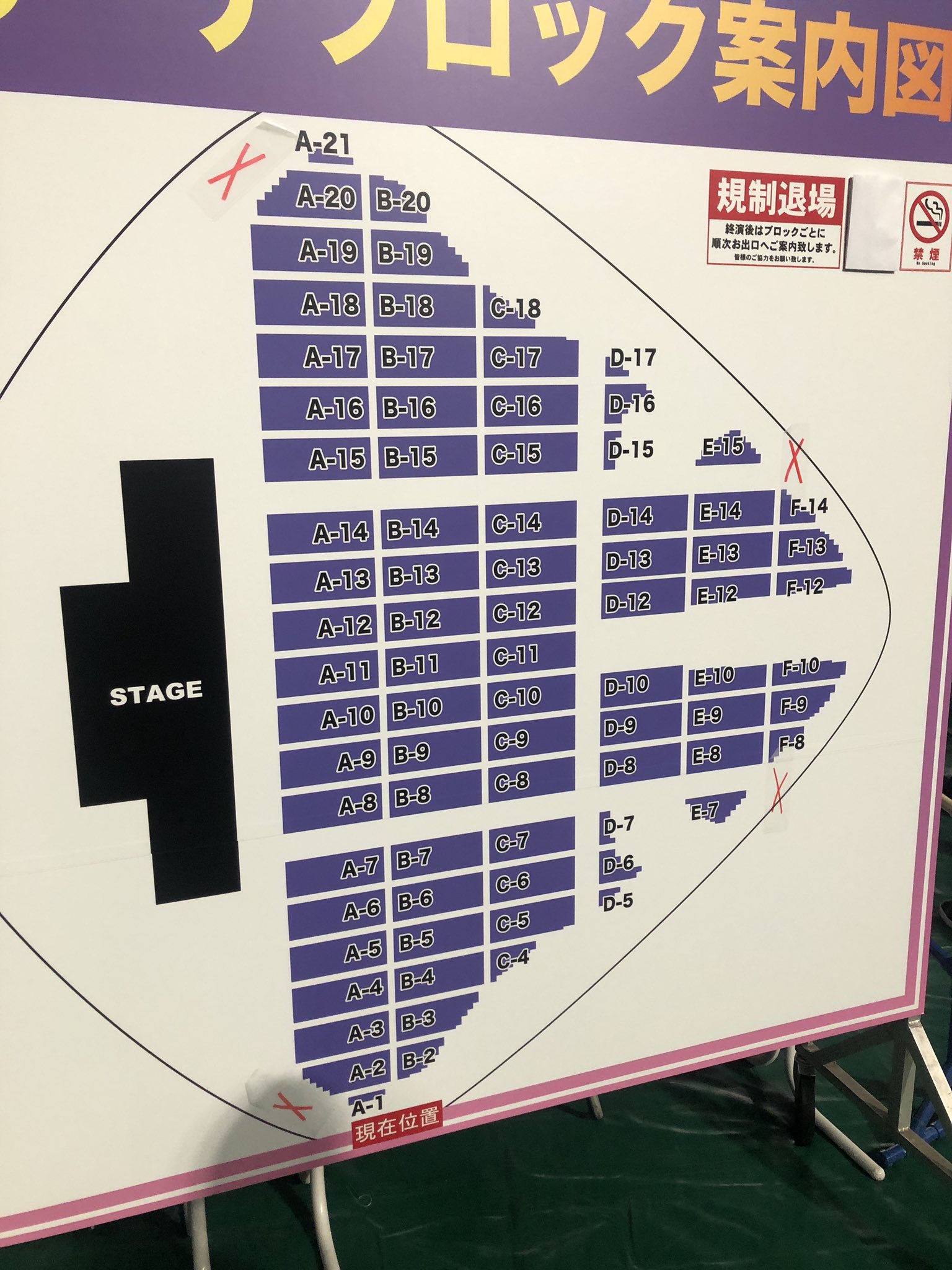 ブルーノ・マーズ SS指定席 2枚連番 東京ドーム 音楽