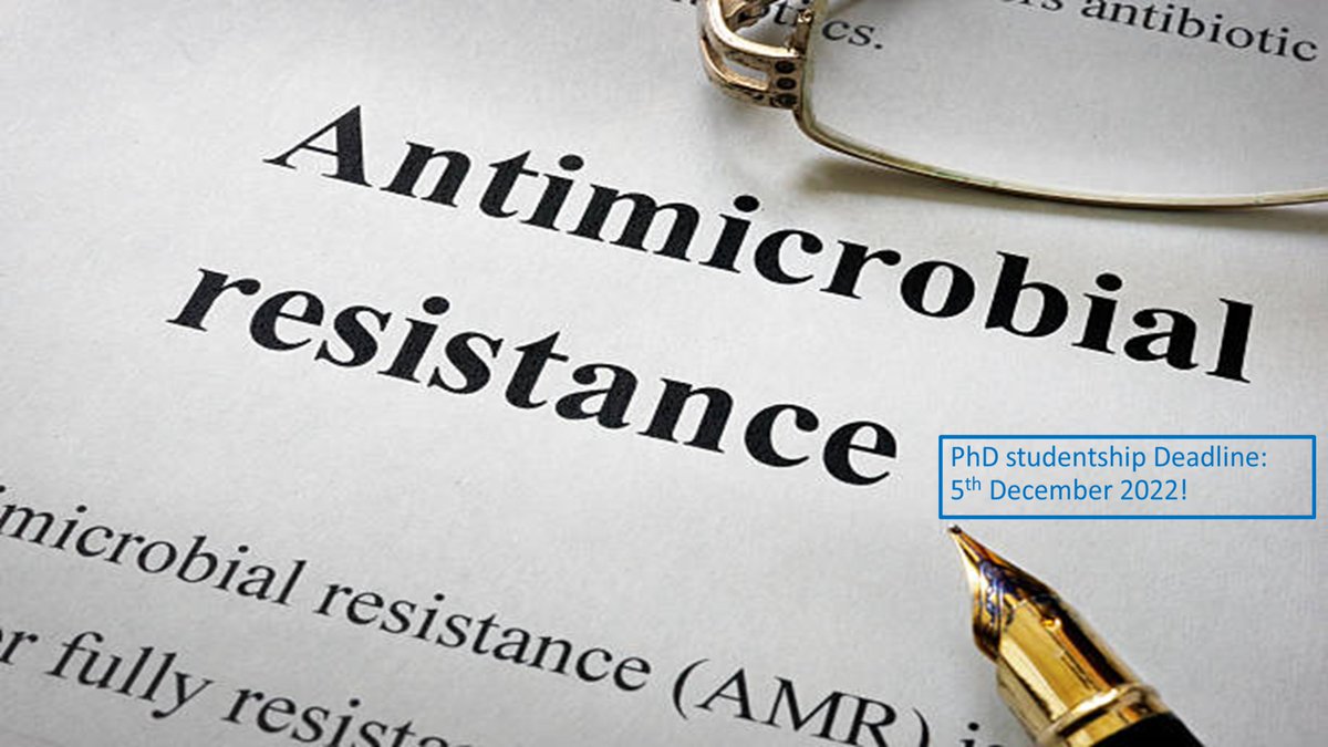 Alex_Stratakos's tweet image. 📢 Fully-funded PhD:
Interested in helping tackle Antimicrobial Resistance? This multidisciplinary PhD studentship in collaboration with @MutantBug, Prof Avison, aims to develop a sustainable, antibiotic-free technology against AMR bacteria. Full details: lnkd.in/ejUs2iGU