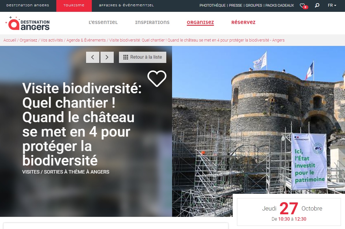 Il y a 1 mois, Angers était élue meilleure commune de plus de 100 000 habitants pour la biodiversité. Pour approfondir, découvrez les actions mises en œuvre sur le chantier des remparts pour protéger la biodiversité :
tourisme.destination-angers.com/organisez-votr…