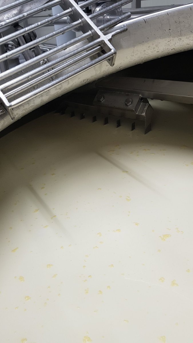 Vette melkvetten op de rauwe MRIJ melk voor de MA Maas Rijn IJssel van <a href="/MeesterAffineur/">Meester-Affineurs</a> 
#veehoudergebonden
#rasspecifiek
#rauwmelks