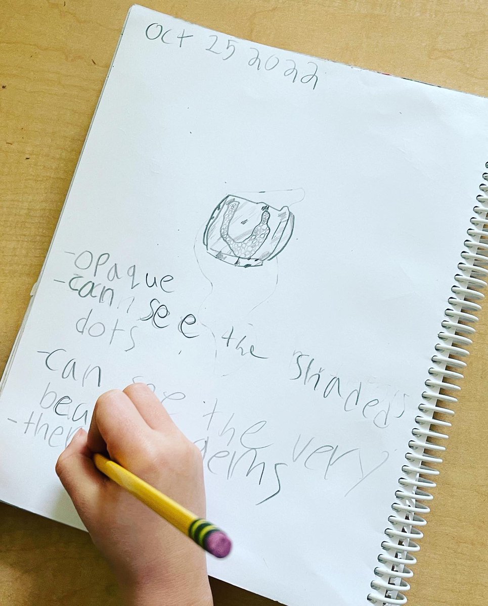 Today Ss applied their learning about rock properties to sketching and describing rocks! <a href="/KenTayloryycbe/">KenTaylorSchool</a> <a href="/AP_Belcher/">Principal Belcher - Alex Munro School</a> #wearecbe