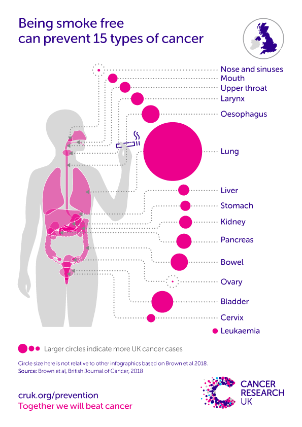 KIMUYUPATRICQUE's tweet photo. Smoking cessation saves lives by reducing people's exposure to cancer-causing agents in tobacco smoke. According to UK's cancer research agency, being smoke-free prevents 15 types of cancers. #WatchYourHealth #QuitSmokingToday #tobaccoharmreduction #GiveHopeSaveLives https://t.co/Rxe1QDHz9x