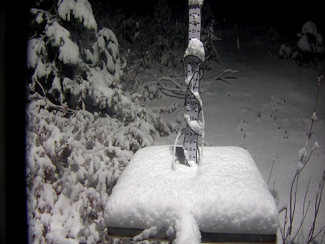 MorganKIRO7 tweet picture