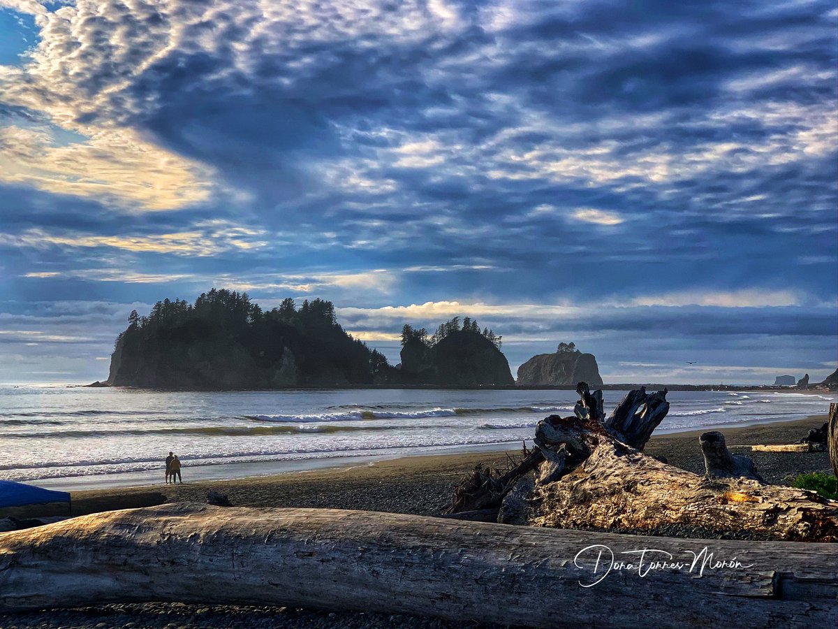 Dora Torres-Morón tweet media