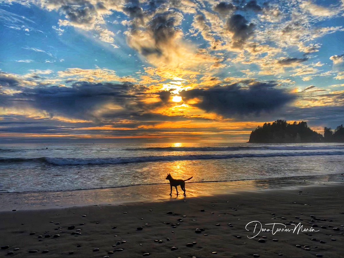 Dora Torres-Morón tweet media