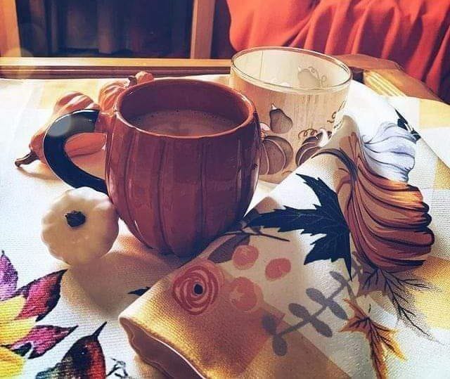 صباح هادئ،، وانفاس تحمل
التفاؤل ويقين، ،، بأن كل ما
سيكتبه الله،، لنا في كل يوم

هو خير،،،، صباحاً  يملا  قلوبكم  بالحب والخير وتوكل على الله 

،، ربي رجوتك صباح  تسعد به الجميع
    صباح_الورد 🤍
#وين_تعيش_فيه #جنتل59
