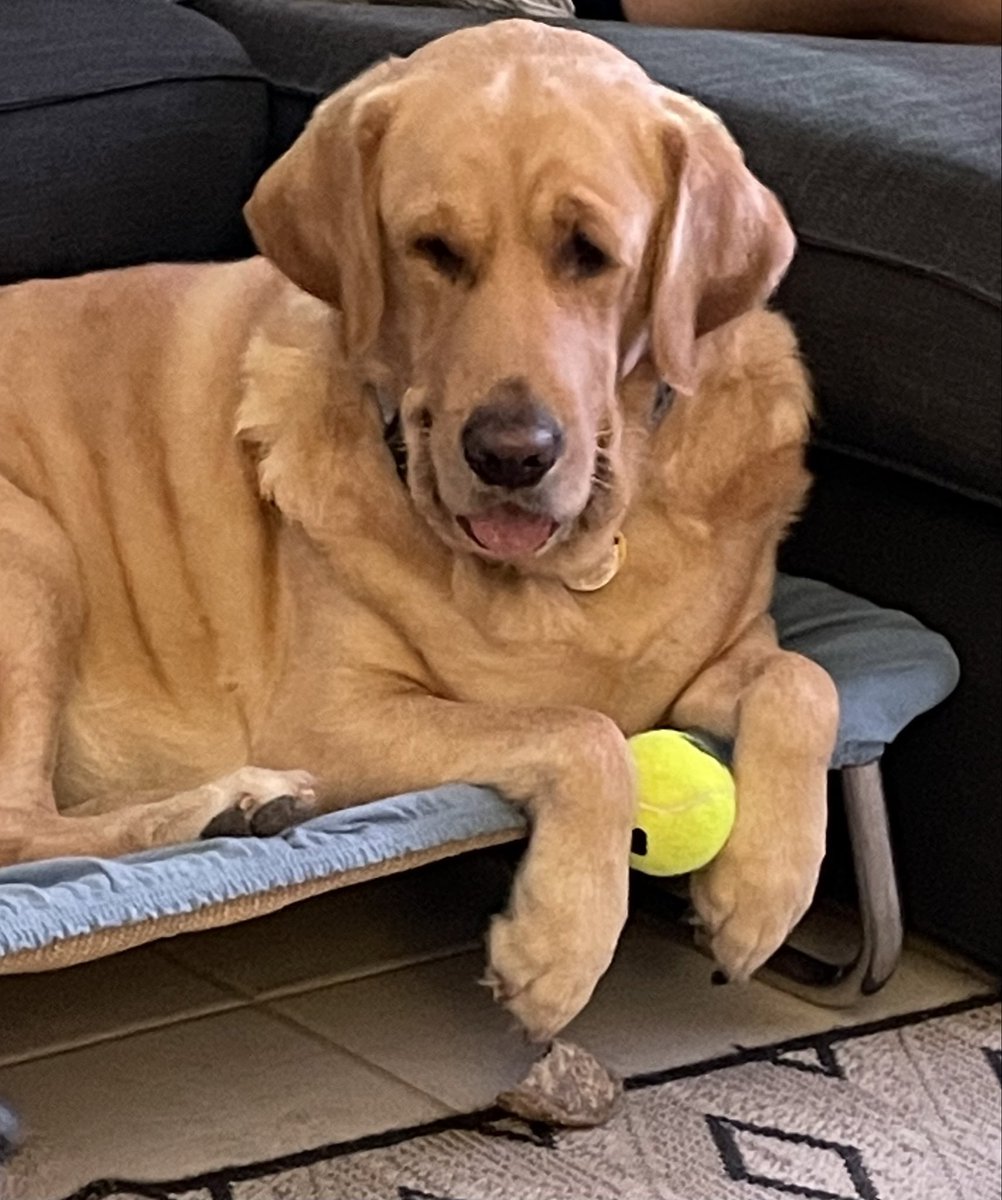 My ball but I will share … who wants to play?