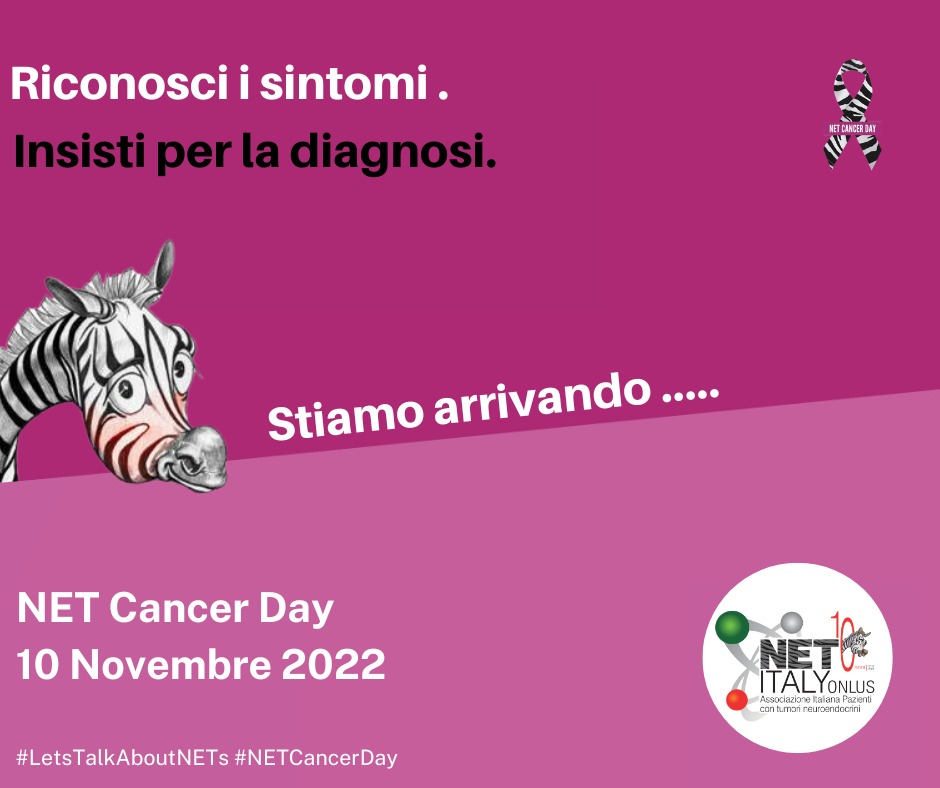 Novembre,mese dedicato alla sensibilizzazione sui Tumori Neuroendocrini.10/11 si celebra la #GIORNATAMONDIALEdeiTUMORINEUROENDOCRINI  #NETCANCERDAY
netitaly.net

#letstalkaboutnets
#tumorineuroendocrini
#netcancer