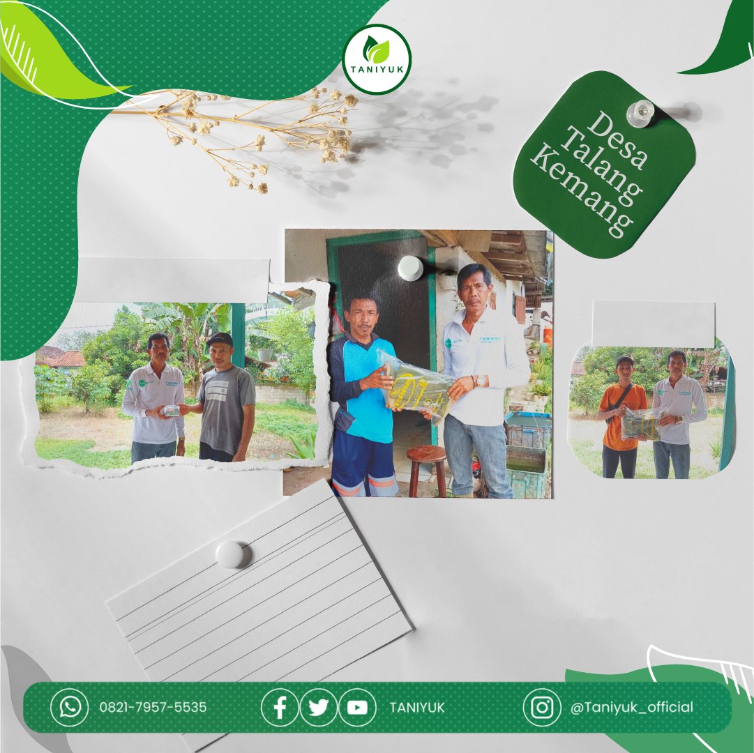 taniyuk's tweet photo. Haloo sobat TaniYuk!

Sudah pernah dengerkan tentang program Loyalty bagi mitra TaniYuk yang aktif dan rutin menyetor lateks?

Nah, kali ini ada pahlawan karet yang sudah mendapatkan hadiah dari program Loyalty lho!

Mereka aja bisa,
Masa Kamu ngga? https://t.co/ofbprDH0z6