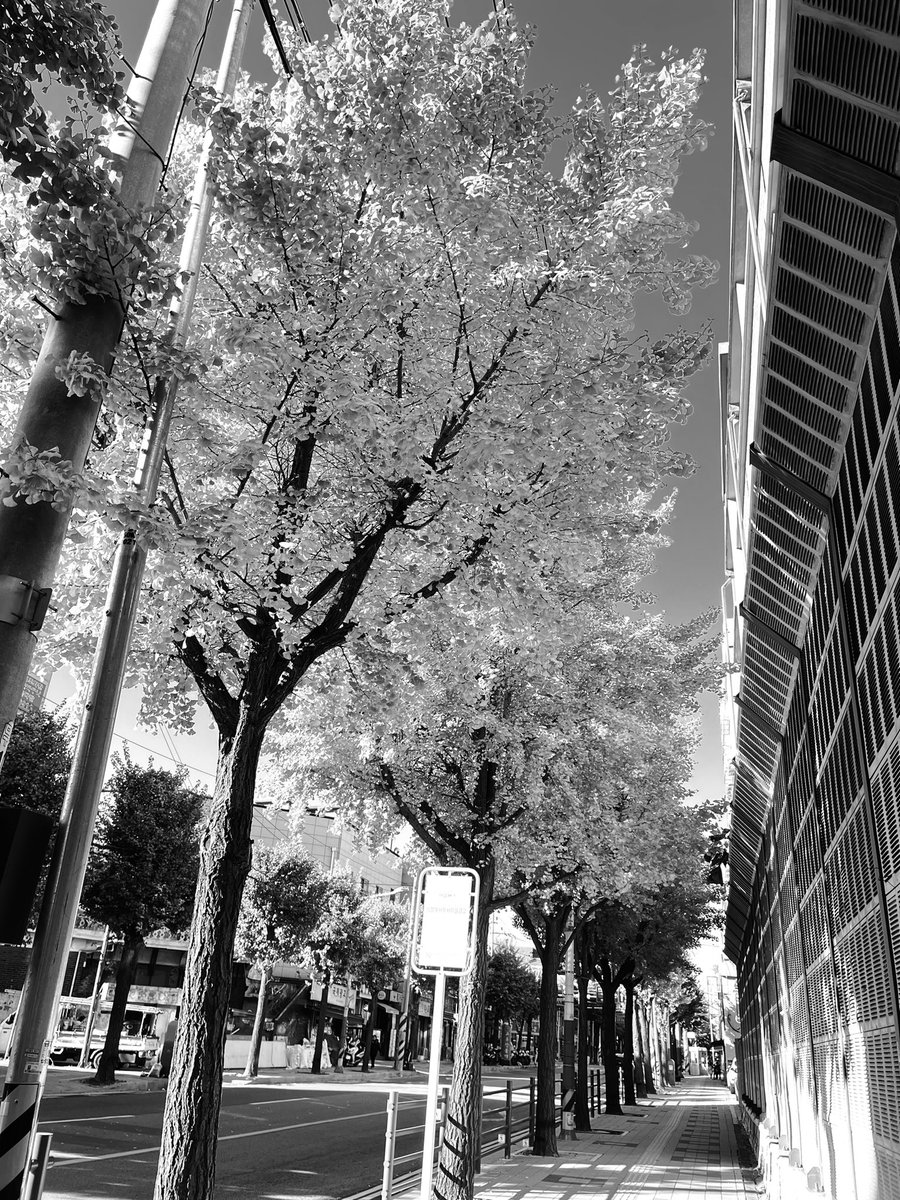 Always feel depressed
But have to cut medicine… 
Kill me plz…