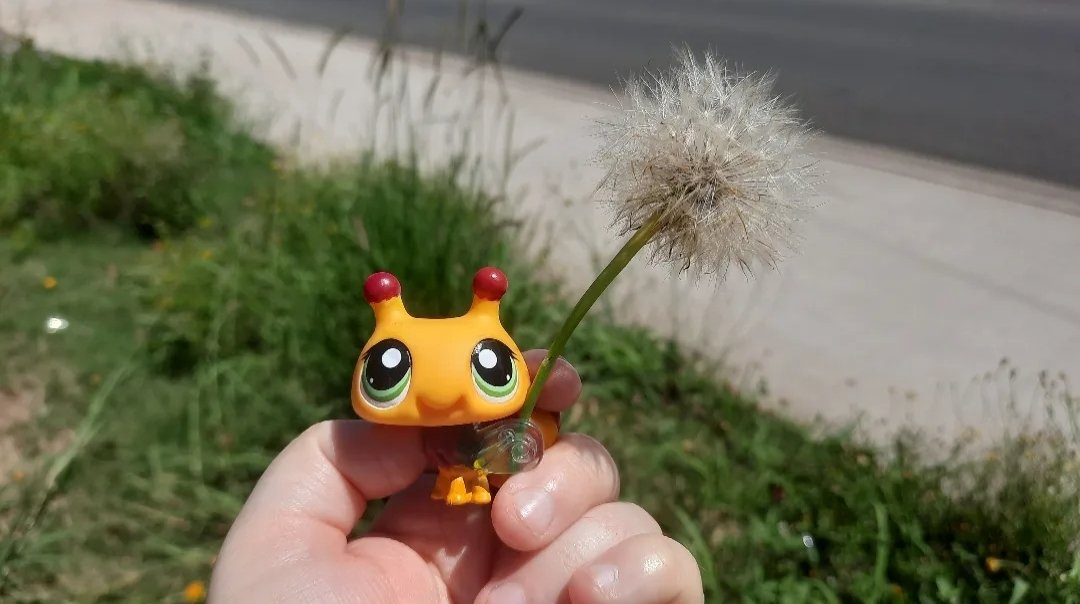 lps_moonlight's tweet photo. My last photo of bee #1799. I just love this one so so much. I also love this photo with the dandelion, do you ever make wishes on dandelions? 🌻
#littlestpetshop #lps #lpscollector #lpscollection #bee https://t.co/97P6309IfE