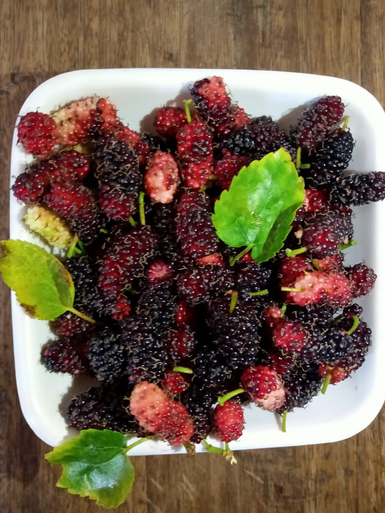 Sarcastic_grrl_'s tweet photo. What do you call this in your language ? https://t.co/RF2uvoDGAw