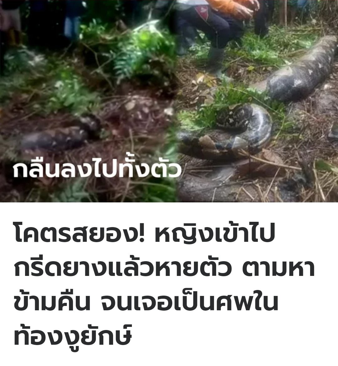 My Image 31