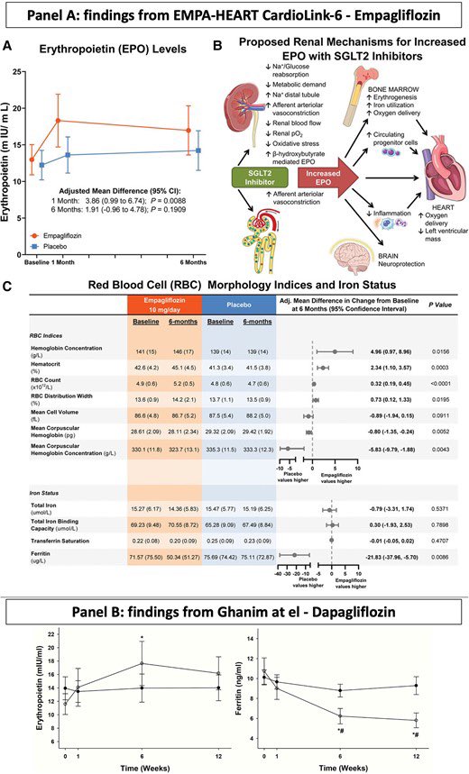 SantasEnrique's tweet image. #Iron deficiency and #cardiovascular disease. Great review in @ESC_Journals #CardioTwitter 

📎 academic.oup.com/eurheartj/adva…