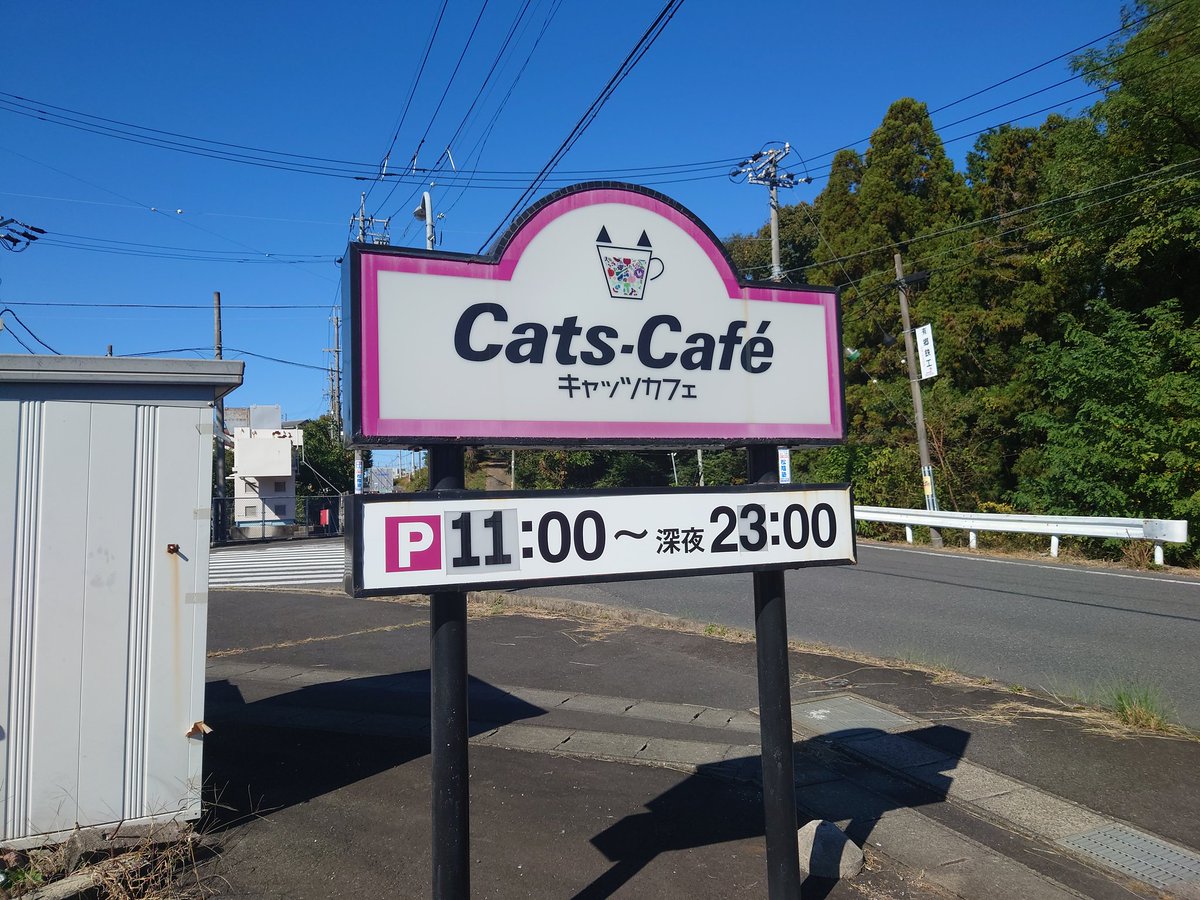 SHINRAJINJA's tweet photo. 8月末をもって閉店したキャッツカフェ多治見店😭　色々と思い出深いお店でした😭

しかしこの跡地に…
横浜家系ラーメン町田商店多治見店が12月予定で出店されます！🍜
近隣には結構出店されてますが、東濃地方では初ですね☺️
オープンが楽しみ✨
https://t.co/qjhQjD17kb https://t.co/hEHDtIMl7d