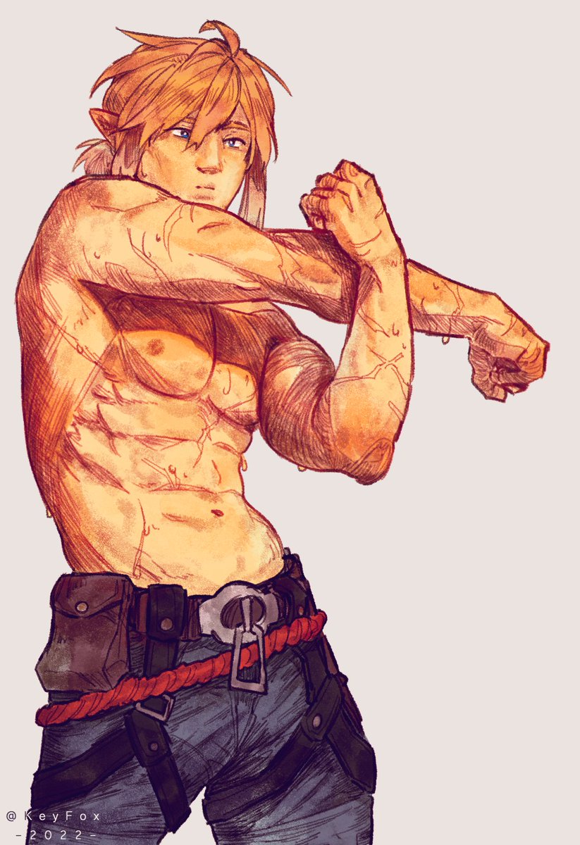 keyfoxdraw's tweet photo. petition to give link GUNS in TotK https://t.co/nGYJwutu6y
